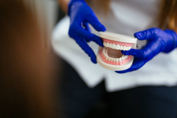 Best TMJ/TMD Treatment  in Wesley Chapel, NC
