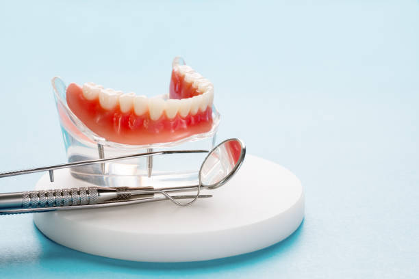 Best Dental Fillings (Composite and Amalgam)  in Wesley Chapel, NC